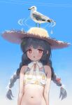  1girl animal bare_arms bare_shoulders bikini bird black_hair blue_archive blue_sky blunt_bangs blush braid breasts cloud collarbone day grey_halo hair_ornament hair_ribbon halo hat highres leaf leaf_on_head leaf_print long_hair looking_at_viewer miyu_(blue_archive) miyu_(swimsuit)_(blue_archive) navel nervous_smile open_mouth outdoors print_bikini red_eyes ribbon seagull shtauffen sky smile stomach straw_hat sun_hat sweat sweatdrop sweating_profusely swimsuit twin_braids twintails upper_body white_bikini 