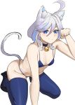  1girl animal_ear_fluff animal_ears bare_arms bare_shoulders bell bikini blue_bikini blue_choker blue_eyes blue_thighhighs blush breasts cat_ears cat_tail choker commentary_request furina_(genshin_impact) genshin_impact groin hair_between_eyes hand_up highres kemonomimi_mode kneeling looking_at_viewer neck_bell paw_pose short_hair simple_background small_breasts smile solo stomach swimsuit tail thighhighs thighs white_background white_hair yellow_glasses_(odivichno) 