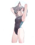  1girl absurdres animal_ear_fluff animal_ears armpits arms_up blue_archive blush breasts competition_swimsuit covered_navel cropped_legs extra_ears grey_hair groin halo head_tilt highres lakudaken looking_at_viewer medium_breasts official_alternate_costume one-piece_swimsuit ponytail presenting_armpit shiroko_(blue_archive) shiroko_(swimsuit)_(blue_archive) simple_background solo swimsuit white_background wolf_ears 