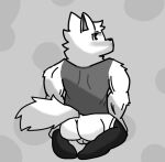  balls butt canid canine canis clothed clothing footwear fur genitals male male/male mammal muscular muscular_male pyonc simple_background socks solo white_body white_fur wolf 