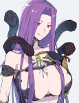  1girl 1other between_breasts breasts enkidu_(fate) fate/grand_order fate_(series) forehead giant giantess gorgon_(fate) green_hair highres kingu_(fate) large_breasts medusa_(fate) nuso purple_eyes purple_hair simple_background snake_hair tongue tongue_out upper_body white_background 