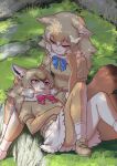  2girls african_golden_wolf_(kemono_friends) animal_ears black_hair blonde_hair blue_bow blue_bowtie blush bow bowtie brown_footwear brown_gloves brown_hair brown_pantyhose brown_sweater bug butterfly elbow_gloves frilled_skirt frills fur_collar gloves golden_jackal_(kemono_friends) hair_between_eyes highres jackal_ears jackal_girl jackal_tail kemono_friends kosai_takayuki lap_pillow long_hair looking_at_another multicolored_hair multiple_girls orange_eyes pantyhose puffy_short_sleeves puffy_sleeves red_bow red_bowtie shoes short_sleeves sidelocks skirt sneakers socks sweater tail two-tone_gloves two-tone_pantyhose white_fur white_gloves white_hair white_pantyhose white_skirt wolf_ears wolf_girl wolf_tail yellow_eyes 