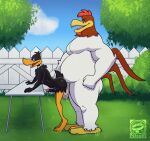  2023 anal anal_penetration anatid animated anseriform anthro anthro_on_anthro anthro_penetrated anthro_penetrating anthro_penetrating_anthro avian backyard bird black_penis bodily_fluids chicken daffy_duck detailed_background duck duo erection foghorn_leghorn from_behind_position furniture galliform gallus_(genus) genital_fluids genitals grass hi_res humanoid_genitalia humanoid_penis looney_tunes male male/male male_penetrated male_penetrating male_penetrating_male on_table outside outside_sex penetration penile penile_penetration penis penis_in_ass phasianid plant precum sex standing standing_sex streif table tagme warner_brothers white_penis 