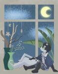  anthro blue_clothing canid canine canis clothing domestic_dog hi_res liu_moon_eater liu_moon_eater_(character) male mammal moon night plant solo solo_focus star window young 