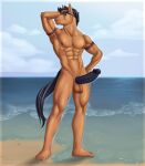  abs anthro balls equid equine genitals hi_res horse male mammal mareau muscular muscular_anthro muscular_male nipples pecs penis pony solo tida vein veiny_penis 