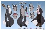  absurd_res anthro canid canine fox hi_res male mammal mello model_sheet shoes_(artist) tail 
