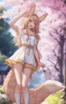  1girl :d ahoge animal_ear_piercing animal_ears arm_up bag braid brown_eyes brown_hair cherry_blossoms dress feet_out_of_frame fox_ears fox_girl fox_tail handbag highres holding holding_bag khiara_(personal_ami) large_tail long_hair looking_at_viewer off-shoulder_dress off_shoulder open_mouth original outdoors personal_ami side_braids signature smile socks solo tail teeth upper_teeth_only very_long_hair white_dress white_socks 