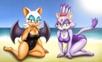  anthro bat beach black blaze_the_cat chipthehedgehog clothing domestic_cat duo felid feline felis female female/female furry invalid_tag mammal nipples purple rouge_the_bat sea seaside sega sonic_the_hedgehog_(series) swimwear twitter water 