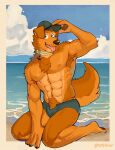  abs absurd_res anthro armpit_hair beach body_hair canid canine canis clothing domestic_dog hat headgear headwear hi_res kneeling male mammal muscular muscular_male outside seaside solo taffyfever underwear 