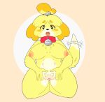  &lt;3 &lt;3_eyes animal_crossing anthro areola bell bell_collar big_breasts black_eyes blush blush_stickers breasts canid canine canis chest_tuft collar dipstick_tail domestic_dog eyelashes female fur genitals isabelle_(animal_crossing) kneeling looking_at_viewer mammal markings nintendo nipples open_mouth orange_body orange_fur pink_areola pink_nipples pussy shih_tzu shoomoo simple_background solo tail tail_markings tail_motion tailwag tan_background thick_thighs toy_dog tuft white_background white_body white_fur wide_hips yellow_body yellow_fur 