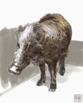  animal boar light looking_at_viewer no_humans original pig realistic seal_impression shadow still_life yk_funa 