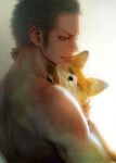 1boy animal animal_hug closed_mouth commentary english_commentary fox green_hair highres holding holding_animal hug male_focus one_eye_closed one_piece roronoa_zoro short_hair smile solo topless_male vovo2000 