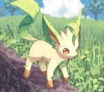  animal_focus brown_eyes cloud commentary_request day grass highres ibusaki_(ivu) leafeon looking_at_viewer no_humans outdoors pokemon pokemon_(creature) sky solo standing tree 