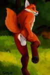  2023 absurd_res anthro anus balls butt canid canine digital_media_(artwork) fox fur genitals grass hi_res hindpaw male mammal nude orange_body orange_fur outside paws plant rear_view red_fox smile solo sylo tail 