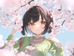  1girl black_hair blurry blurry_background blurry_foreground blush cardigan cherry_blossoms chilia012 commentary_request depth_of_field falling_petals green_cardigan highres idolmaster idolmaster_cinderella_girls looking_at_viewer outdoors petals shirt short_hair smile solo takafuji_kako upper_body white_shirt yellow_eyes 