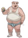  2023 amamiya anthro belly big_belly blush bulge clothing domestic_pig humanoid_hands kemono male mammal overweight overweight_male shirt solo suid suina sus_(pig) topwear underwear 