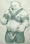  2015 animal_genitalia anthro balls bear belly_hair biceps body_hair bottomwear chaps chest_hair clothing crotchless_bottomwear crotchless_clothing crotchless_pants fully_sheathed garrodor genitals harness hi_res leather leather_harness looking_at_viewer male mammal manly mature_male musclegut muscular navel nipples nose_scar pants pecs penis pockyrumz polar_bear pubes sheath simple_background slightly_chubby solo standing triceps ursine 