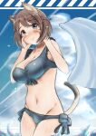  1girl absurdres animal_ears bikini blue_bikini blush braid breasts brown_eyes brown_hair cat_ears cat_tail cleavage closed_mouth highres in_water large_breasts looking_at_viewer luminous_witches navel outdoors shibuya_inori short_hair sky solo swimsuit tail tama_kitsune world_witches_series 