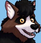  ambiguous_gender anthro black_hair brown_body brown_fur canid canine fluffy fur hair happy icon mammal neck_tuft open_mouth raccoon_dog rowancrimes smile solo teeth tuft 