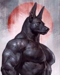  2023 abs anthro anubian_jackal anubis biceps big_muscles black_body black_border border bust_portrait canid canine canis deity deltoids detailed egyptian_mythology hi_res jackal looking_at_viewer male mammal middle_eastern_mythology muscular muscular_anthro muscular_male mythology nipples nude obliques painterly pecs portrait red_background serratus side_view signature simple_background solo standing taran_fiddler vein 
