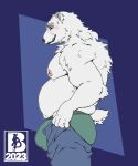  anthro bear bulge chubby_male male mammal meme mr.brapion musclegut nipples polar_bear solo tight_pants_(meme) ursine 