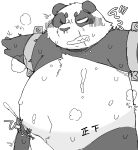  2023 absurd_res anthro bear belly big_belly bodily_fluids bound censored cum ejaculation gayousi7 genital_fluids genitals giant_panda hi_res japanese_text kemono male mammal musk one_eye_closed overweight overweight_male penis scar solo sweat text 