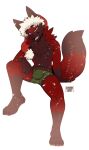  anthro blaze_wolf bulge canid canine canis christmas christmas_clothing christmas_headwear clothed clothing diasuke77 hat headgear headwear hi_res holidays looking_at_viewer male mammal partially_clothed santa_hat snow solo spread_legs spreading underwear wolf 