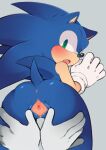  andromorph anthro anus blue_body blush butt clothing crossgender genitals gloves green_eyes handwear hi_res intersex looking_at_viewer looking_back looking_back_at_viewer mostly_nude nayrobi pussy sega solo sonic_the_hedgehog sonic_the_hedgehog_(series) spread_pussy spreading 