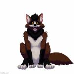  1:1 ambiguous_gender animated anthro fluffy fluffy_tail full-length_portrait happy low_res portrait racoon_dog rowancrimes short_playtime sitting solo tail tail_motion tailwag 