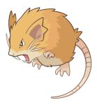  animal_focus bright_pupils brown_eyes commentary_request fangs mouse no_humans open_mouth pokemon pokemon_(creature) raticate solo tongue transparent_background white_pupils yamaegom 