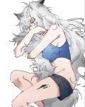  1girl animal_ears arknights black_shorts blue_shirt clothes_pull crop_top extra_ears feet_out_of_frame gigascrox grey_hair groin hugging_own_tail hugging_tail lappland_(arknights) lying messy_hair on_side oripathy_lesion_(arknights) shirt shorts shorts_pull simple_background sleeping solo tail white_background wolf_ears wolf_girl wolf_tail 