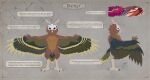  3_toes 5_fingers absurd_res ahornsirup ambiguous_gender antennae_(anatomy) anthro antlers avian avian_feet beak bionyr bird brown_body brown_feathers cheek_tuft colored diesel_wiesel digital_media_(artwork) facial_markings facial_tuft feathered_tail feathered_wings feathers feet fingers flat_colors green_body green_feathers head_markings hi_res horn hybrid markings mask_(marking) model_sheet nude owl red_eyes scuted_legs scutes solo standing tail talons toes tuft volcanins white_markings winged_arms wings 