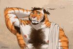  2023 anthro armpit_hair biceps body_hair chest_hair clothed clothing deltoids felid hand_behind_head hi_res male mammal manly muscular nipples pantherine pecs raised_arm simple_background solo tiger topless towel towel_on_shoulder triceps yeshh 