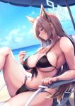  1girl absurdres animal_ears bikini black_bikini blue_archive blue_eyes blue_sky blush breasts brown_hair cleavage closed_mouth collarbone commentary_request from_side halo highres kanna_(blue_archive) large_breasts long_hair long_sleeves ocean outdoors parasol saboten_teishoku sitting sky solo swimsuit umbrella water 
