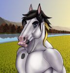  absurd_res american_paint_horse anthro blonde_mane blue_eyes equid equine glaerd glaerd_(character) hi_res horse landscape landscape_background male mammal mane muscular solo sunset 