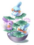  alternate_color artist_name closed_eyes closed_mouth falling full_body grey_eyes highres in_pot lily_pad mudkip open_mouth pokemon pokemon_(creature) sasabunecafe shiny_pokemon smile twitter_username water water_drop water_lily_flower white_background 
