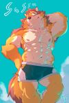  abs anthro barrel_(live_a_hero) biceps brown_body brown_fur bulge canid canine canis clothing fur heylaw21 hi_res lifewonders live_a_hero male mammal muscular muscular_anthro muscular_male nipples pecs shirtless solo underwear wolf 