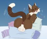  anus balls bed bedroom_eyes blush brown_body brown_fur butt collar domestic_cat felid feline felis feral fur furniture genitals hi_res male mammal mr._blue_(artist) narrowed_eyes on_bed pillow presenting presenting_anus puffy_anus purring raised_tail scotty_(mr._blue) seductive solo tail 