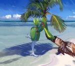  absurd_res amazon_parrot anthro avian beach bird butt clothing cloud eyewear feathers genitals green_body green_feathers hi_res looking_at_viewer male male/male neotropical_parrot nolansnsfw on_one_leg oopsitsnolansfw palm_tree parrot plant sea seaside small_waist solo solo_focus solo_in_panel speedo standing sunglasses swimwear thick_thighs tree true_parrot water yellow-headed_amazon 