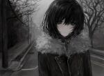  1girl bare_tree black_hair black_jacket chan8016 closed_mouth coat empty_eyes fog fur-trimmed_jacket fur_trim highres jacket looking_at_viewer original overcast road sad sky solo street tree winter_clothes winter_coat 