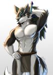  absurd_res anthro biped black_nose bottomwear canid canine canis clothing countershade_fur countershade_tail countershade_torso countershading fur hi_res holding_object holding_sword holding_weapon jumiifoxx_(artist) link_(wolf_form) loincloth male mammal melee_weapon nintendo nipples simple_background solo sword tail the_legend_of_zelda weapon white_background wolf 