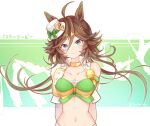  1girl ahoge animal_ears arms_behind_back breasts brown_hair character_name choker closed_mouth collarbone commentary green_eyes hair_between_eyes hair_ornament hairclip hat highres horse_ears jacket long_hair looking_at_viewer midriff mini_hat mini_top_hat mr._c.b._(umamusume) navel shirt single_bare_shoulder single_sleeve small_breasts smile solo sonosonosieg strapless strapless_shirt symbol-only_commentary top_hat umamusume upper_body white_jacket 