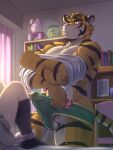  balls big_penis bulge defloration duo erection felid female first_time_sex genitals hi_res male male/female mammal morenatsu pantherine penis run_aki stripes tiger torahiko_(morenatsu) virgin virginity 