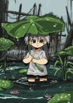  1girl aqua_eyes black_shorts frog grey_hair highres kishimen_udn leaf leaf_umbrella lily_pad long_hair original partially_submerged rain shirt shorts smile solo wading water_lily_flower white_shirt 