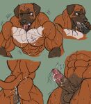  abs anthro anus balls biceps canid canine canis domestic_dog emoster erection fur genitals hi_res humanoid_genitalia humanoid_penis male mammal manly mastiff molosser muscular muscular_anthro muscular_male navel nipples nude pecs penis solo 