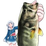  1girl 1other animal animal_focus bass_(fish) blue_eyes blue_hair blue_hoodie blunt_bangs closed_mouth collarbone dwi_c fish gawr_gura gawr_gura_(1st_costume) grey_hair highres holding holding_animal holding_fish hololive hololive_english hood hoodie largemouth_bass long_sleeves looking_at_viewer medium_hair multicolored_hair photo-referenced pov pov_hands sleeves_past_wrists smug streaked_hair upper_body virtual_youtuber white_background wide_sleeves 