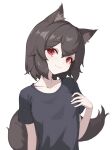  1girl absurdres animal_ear_fluff animal_ears black_shirt breasts brown_hair ellu hand_on_own_chest highres looking_at_viewer original red_eyes shirt short_sleeves simple_background small_breasts smile tail white_background 