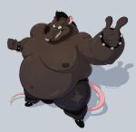  absurd_res ace_(houndgrey) alex_henderson anthro belly big_belly clothed clothing hair hi_res male mammal moobs murid murine navel nipples overweight overweight_anthro overweight_male pink_tail rat rodent solo tail teeth 