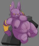  2023 anthro areola armband belly big_belly big_ears biped bracelet champa claws domestic_cat dragon_ball dragon_ball_super ear_piercing ear_ring felid feline felis finger_claws genitals grey_background hairless hairless_cat half-erect hi_res high-angle_view jewelry locitony male mammal moobs navel nipples overweight overweight_anthro overweight_male penis piercing prick_ears purple_areola purple_body purple_nipples purple_nose purple_skin ring_piercing simple_background sitting solo sphynx_(cat) yellow_eyes 