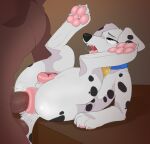  101_dalmatians 2023 3_toes anal anal_penetration animal_genitalia animal_pussy anus backsash balls bestiality brown_body brown_skin butt canid canine canine_genitalia canine_pussy canis claws collar dalmatian digital_media_(artwork) disney domestic_dog duo erection feet female female_on_human feral feral_penetrated fur genitals hair hi_res hindpaw human human_on_feral human_penetrating human_penetrating_feral humanoid interspecies lying male male/female male_on_feral male_penetrating mammal nude on_back open_mouth pawpads paws penetration penile penis perdita pussy sex simple_background solo_focus spots spotted_body teeth toes tongue tongue_out vein white_body white_fur 